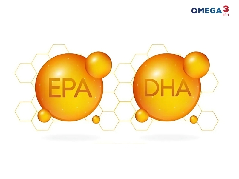 Bí Quyết Cân Bằng DHA Và EPA Từ Omega 3in1