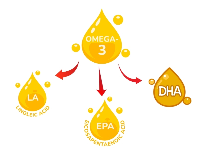 Axit Béo Omega-3 Gồm Những Loại Nào?
