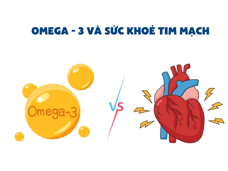 Omega-3 Và Sức Khỏe Tim Mạch: Mối Quan Hệ Tích Cực