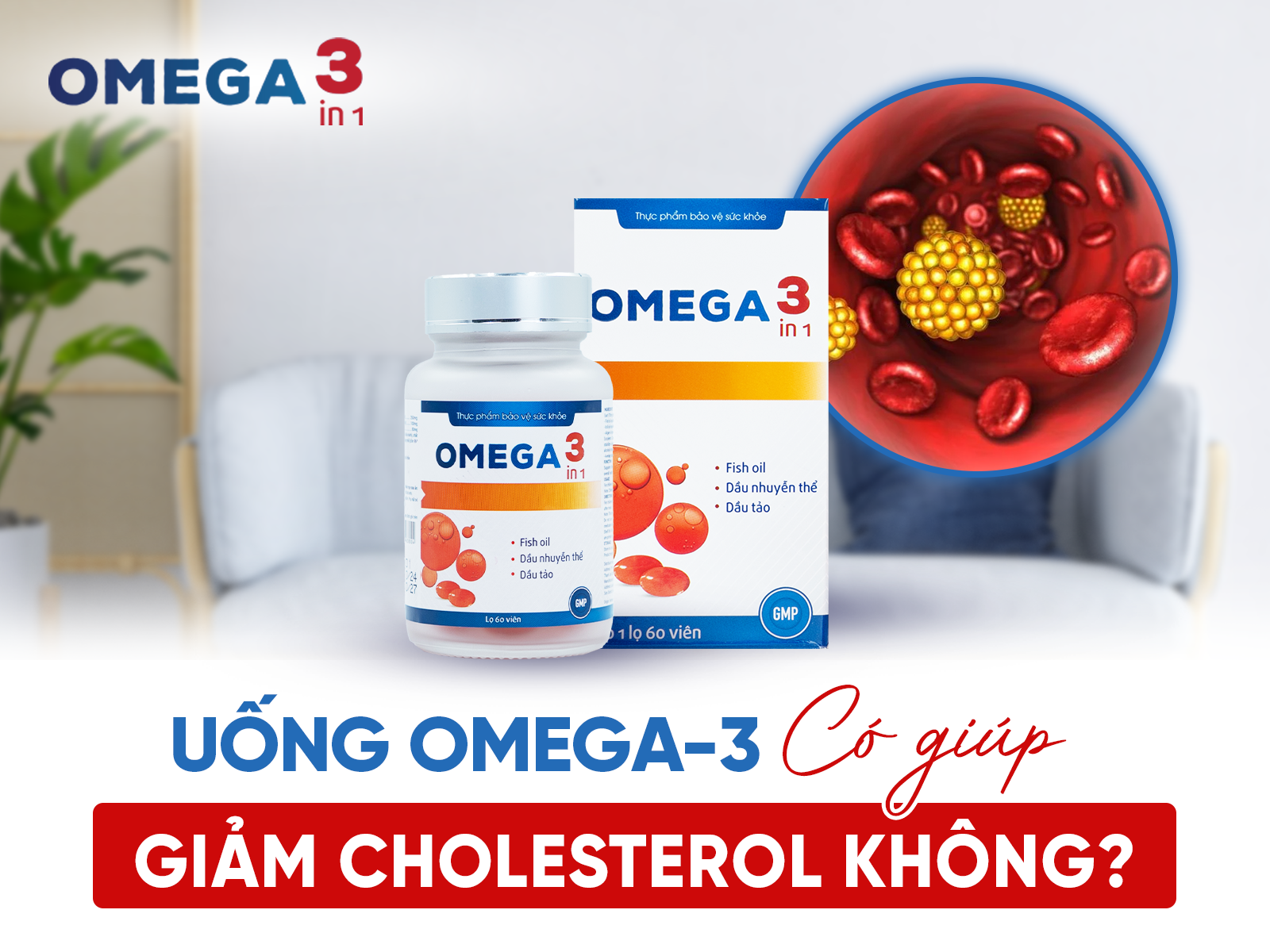 [Giải Đáp] Uống Omega-3 Giảm Cholesterol Không?