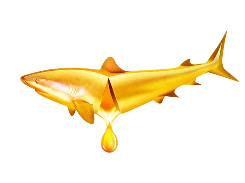 Mách Bạn 8 Loại Thực Phẩm Giàu Omega-3 Nên Bổ Sung Mỗi Ngày