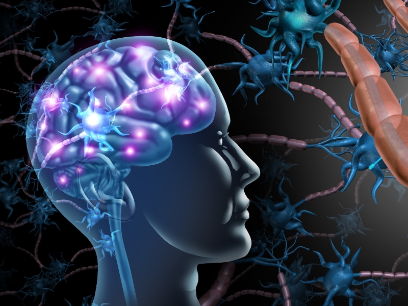 Omega-3 - Dưỡng Chất Vàng Cho Não Bộ Minh Mẫn