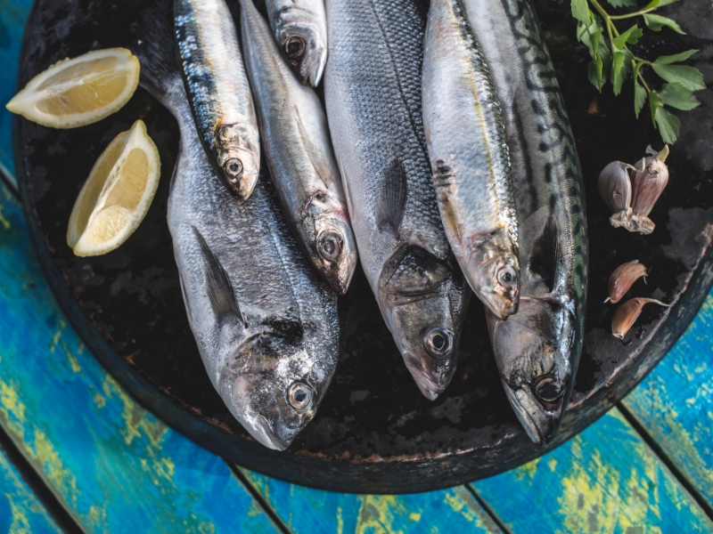 Omega-3 Có Giúp Làm Chậm Tiến Trình Xơ Vữa Động Mạch? 