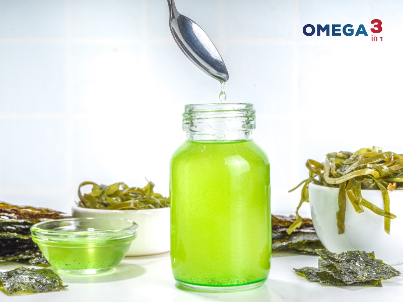 Dầu Tảo Là Gì? Công Dụng Và Những Điều Cần Biết