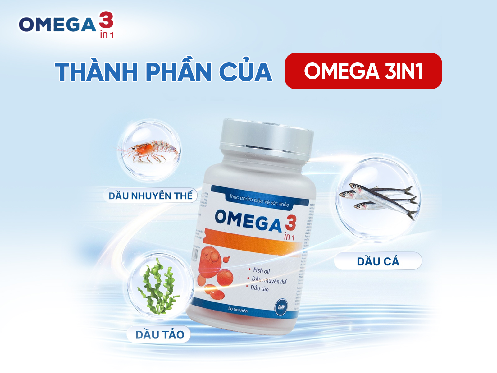 Thành phần của Omega 3in1 – Sức mạnh từ ba nguồn Omega-3 tinh khiết